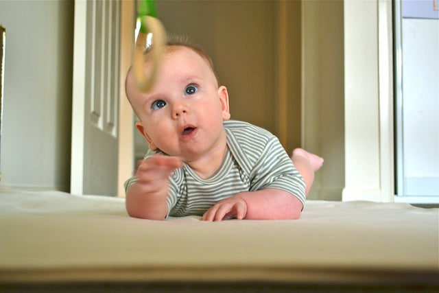 Montessori Grasping Ring: Essential for Motor Skills and Oral Development