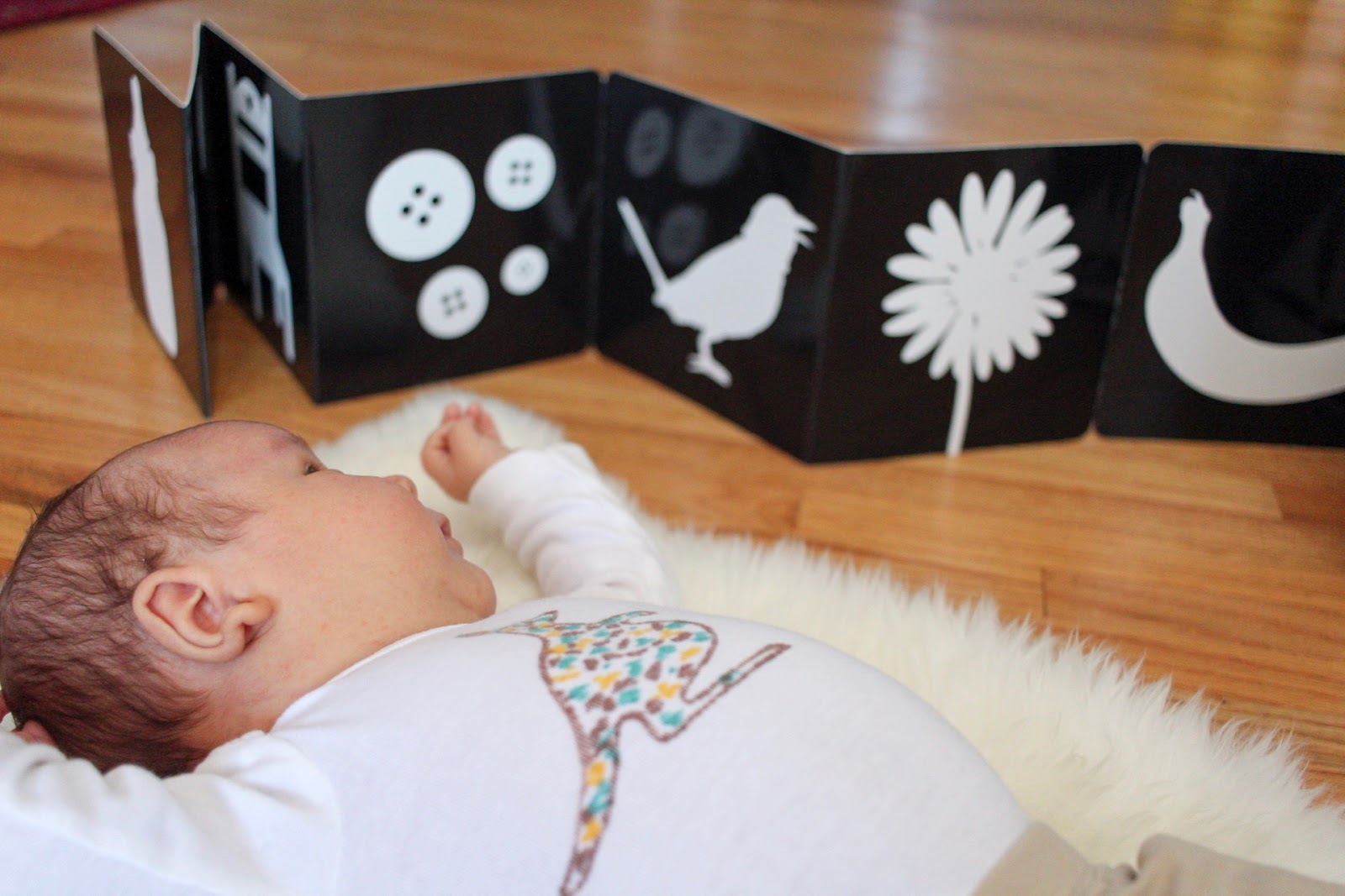 From Blurry to Brilliant: Enhancing Newborn Vision with High-Contrast Cards